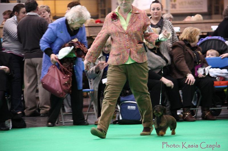 Crufts2011_2 1036.jpg